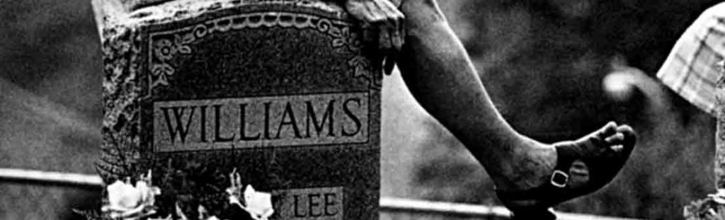 La miopía de las hermanas&nbsp;Lee