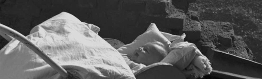 Diamantes de estiércol