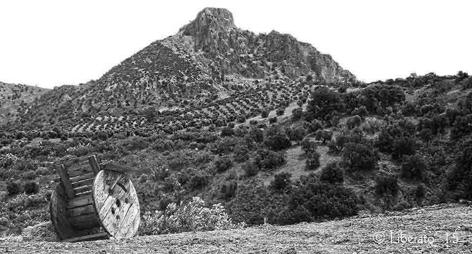 11036757_837943596274466_3544157925760950640_n