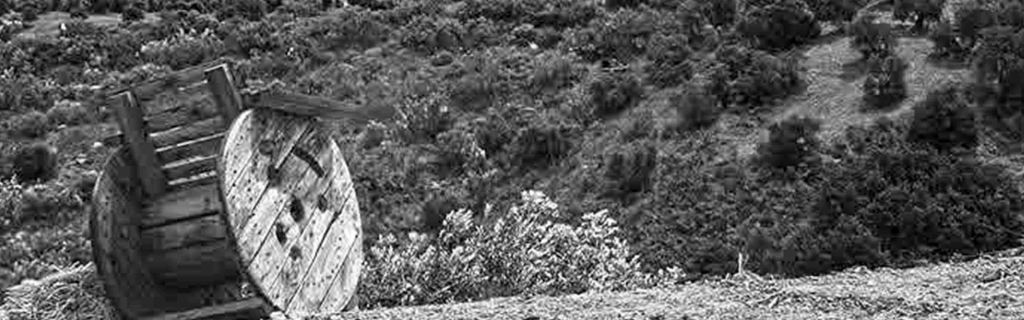 Las tribulaciones de&nbsp;Quino