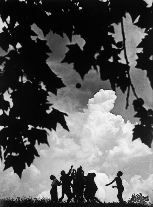 Fotógrafo desconocido, enmarcado por las hojas de un árbol de sicómoro, los niños juegan bola silueteada contra la recolección de nubes de tormenta, 1935