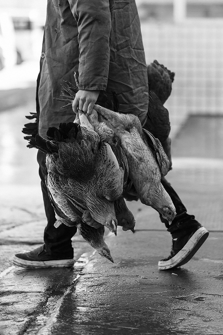 Leigh Griffiths. Meat. 2017