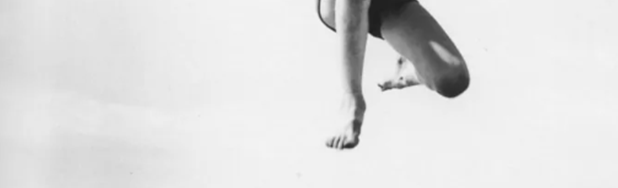 El maquiavélico relato del loro Pancho. Parte&nbsp;II